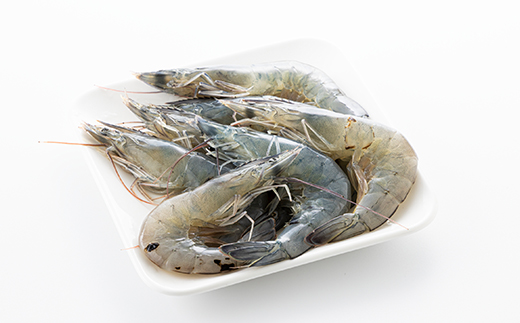 【訳あり】幸えびB品160g×2パックセット　静岡県磐田市産【配送不可地域：離島】