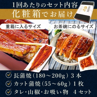 【2ヵ月毎定期便】浜名湖・うなぎのたなかの国産鰻長蒲焼3本、カット小1枚※1回分約595g全3回【配送不可地域：離島】