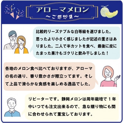 【毎月定期便】アローマメロン1玉(約1.0kg以上/玉)【静岡高級マスクメロン】　全10回【配送不可地域：離島・北海道・沖縄県】