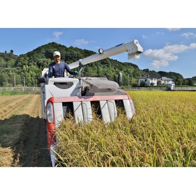 【毎月定期便】静岡こしひかり(精米)5kg×1袋全3回