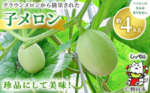 クラウンメロンの子メロン　約4kg