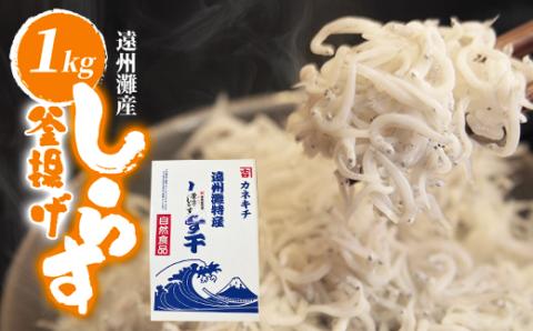 遠州灘産釜揚げしらす1kg【配送不可地域：離島】