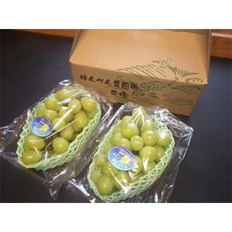 【発送月固定定期便】【2回発送・先行受付】梨(あきづき)とブドウ(シャインマスカット)全2回【配送不可地域：離島】