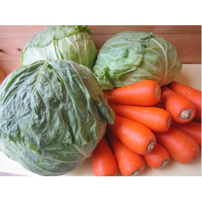 静岡県産キャベツ4kgとニンジン1.5kgセット【11月下旬より順次発送】