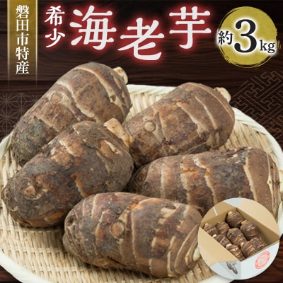 磐田特産海老芋　約3kg