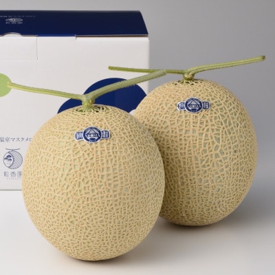 高級静岡温室マスクメロン2個入(化粧箱入)【配送不可地域：離島・北海道・沖縄県】