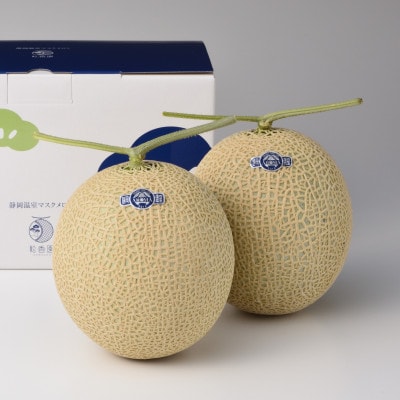 高級静岡温室マスクメロン大2個入(化粧箱入)【配送不可地域：離島・北海道・沖縄県】