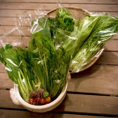 野菜ソムリエ推奨!鍋におすすめの野菜詰め合わせセット【香りと食味を楽しむ8品目】【配送不可地域：離島】