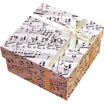 【ミュージックサブレセット】ノクターンBOX 10枚入り