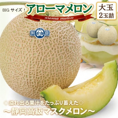 【通年出荷】アローマメロン(大玉)　2玉詰【静岡高級マスクメロン】【配送不可地域：離島・北海道・沖縄県】