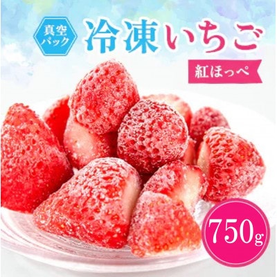 冷凍イチゴ『紅ほっぺ』250g×3袋【配送不可地域：離島】