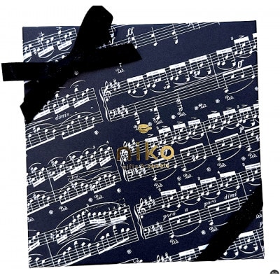 【ミュージックサブレセット】アンプロンプトゥブラックBOX 10枚入り