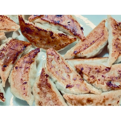 ふくすけ餃子 計60個 冷凍生【配送不可地域：離島】