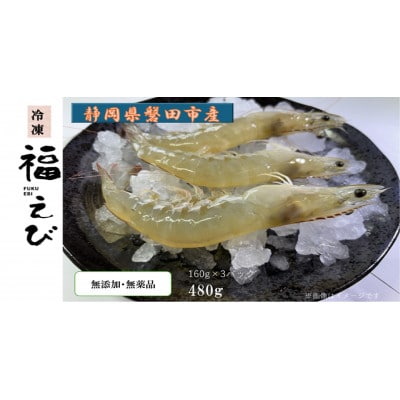福えび3パックセット　静岡県磐田市産【配送不可地域：離島】