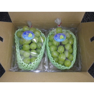 【先行受付】【150口限定】シャインマスカット　2房(2026年9月上旬～中旬発送予定)【配送不可地域：離島】