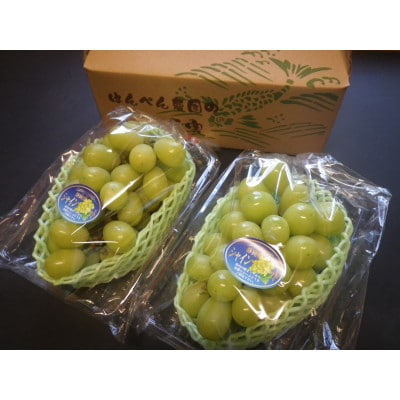 【先行受付】【150口限定】シャインマスカット　2房(2026年9月中旬～下旬発送予定)【配送不可地域：離島】