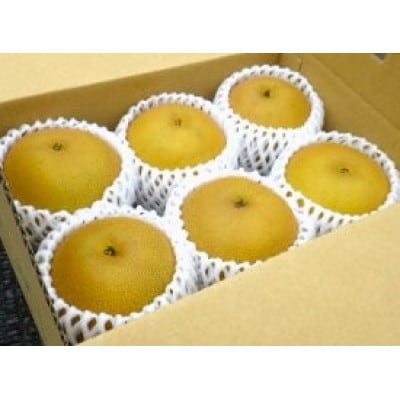 【先行受付】【100口限定】梨『幸水』(2026年8月上～中旬発送予定)【配送不可地域：離島】