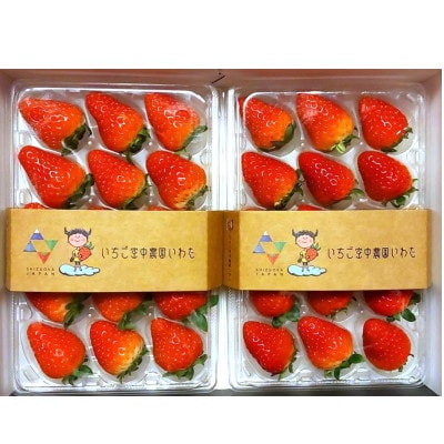 【いちご空中農園いわた】【きらぴ香】【期間限定】大粒 8～15玉×2パック ギフトBOX入り【配送不可地域：離島】