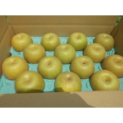 【限定30口】梨『幸水』5kg　2026年8月上旬より発送予定【配送不可地域：離島】