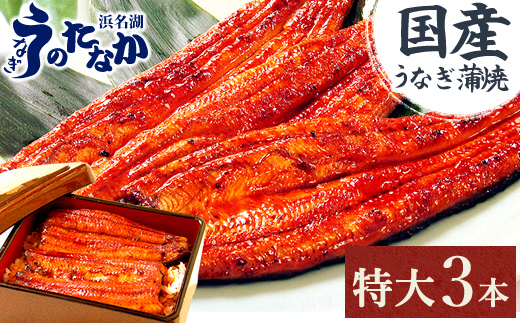 浜名湖・うなぎのたなかの長蒲焼3本セット!ふっくら柔らか♪国産うなぎ長蒲焼※合計540g程度【配送不可地域：離島】