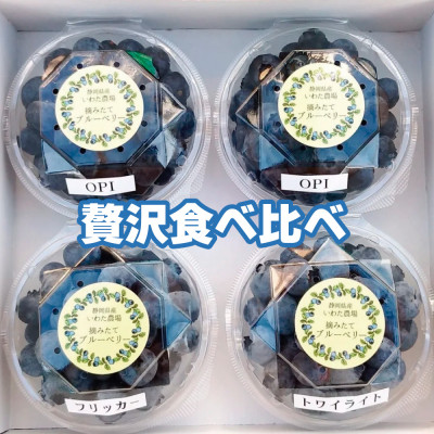 【令和8年5月 順次発送】完熟ブルーベリー生果実　食べ比べセット【配送不可地域：離島】