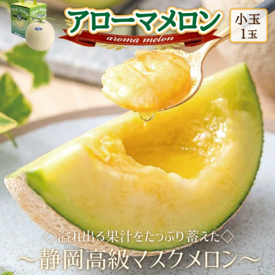 【通年出荷】アローマメロン(小玉)　1玉入【静岡高級マスクメロン】【配送不可地域：離島・北海道・沖縄県】