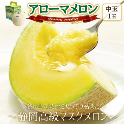 【通年出荷】アローマメロン(中玉)1玉入【静岡高級マスクメロン】【配送不可地域：離島・北海道・沖縄県】