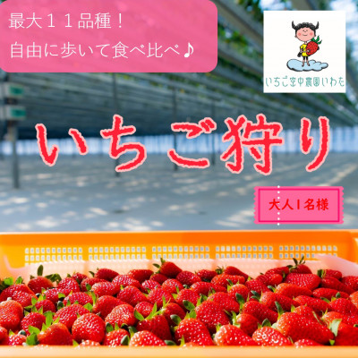 最大11品種食べ比べ!　いちご空中農園いわた　いちご狩り入園券　45分間食べ放題
