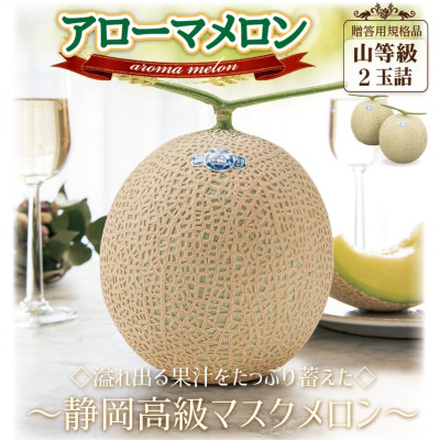 【通年出荷】アローマメロン(山等級) 2玉詰【静岡高級マスクメロン】【配送不可地域：離島・北海道・沖縄県】