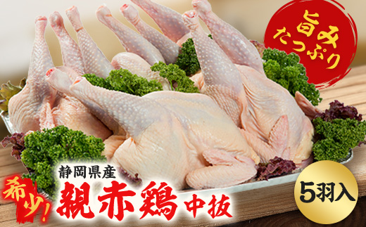 【希少!おやどり5羽入】親赤鶏中抜◆旨みたっぷりの親鳥をお届け!丸鶏を中抜きで丸ごと!骨付鳥にも◎【配送不可地域：離島】