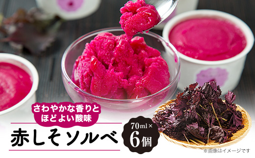 赤しそソルベ　70ml×6個入り【配送不可地域：離島】