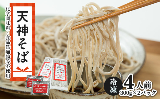 【ことのは庵からこだわりの手打ちそばをお届け】天神そば4人前【冷凍便】【配送不可地域：離島】