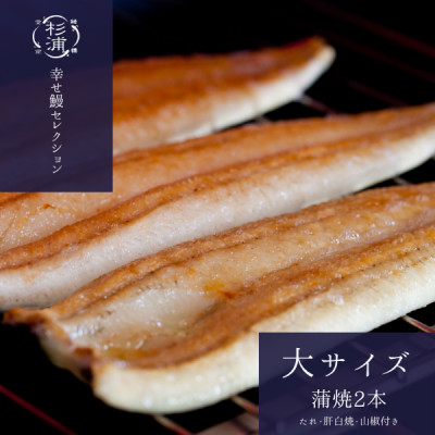 【1本230g以上】遠州杉浦うなぎ 蒲焼セット　蒲焼2本(460g-500g)+肝白焼+タレ【配送不可地域：離島】