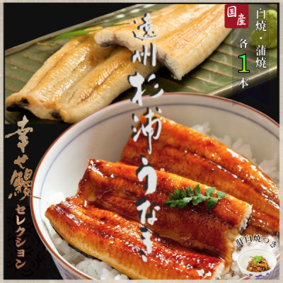 【1本210g以上】遠州杉浦うなぎ 白蒲セット 白焼1本+蒲焼1本(440g-490g)肝白焼+タレ【配送不可地域：離島】