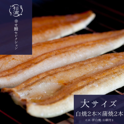 【1本210g以上】遠州杉浦うなぎMセット　白焼2本+蒲焼2本(880-980g)+肝白焼+タレ【配送不可地域：離島】