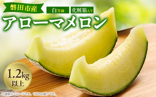 磐田市　アローマメロン　1.2キロ以上　白等級　食べごろ日記載あり　静岡県産　ライオンメロン
