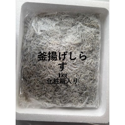 釜揚げしらす 1kg 化粧箱【配送不可地域：離島】