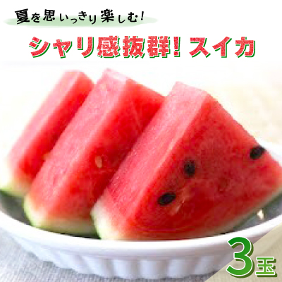 【先行受付/2026年8月上旬より発送】3玉!夏を思いっきり楽しむ!シャリ感抜群!スイカ【ぷちっと】【配送不可地域：離島・北海道・沖縄県】