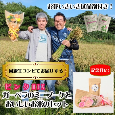 4月発送!同級生コンビでお届けするガーベラピンクブーケとおいしいお米のセット・お花長持ち栄養剤付き!