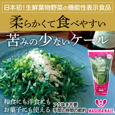 【毎月定期便】TV紹介で大好評 ソフトケール 100g×5袋 健康 腸活応援 スムージー 全3回【配送不可地域：離島】