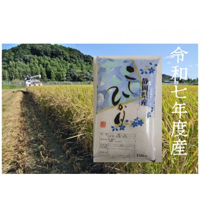 【毎月定期便】静岡こしひかり(精米)10kg×1袋全3回