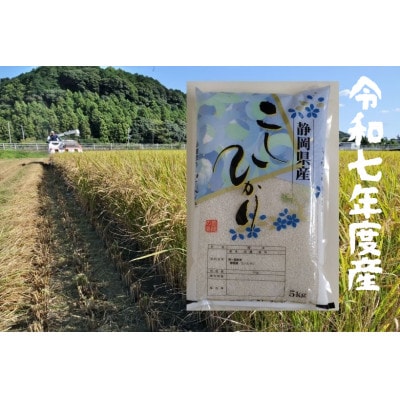 【毎月定期便】静岡こしひかり(精米)5kg×1袋全12回