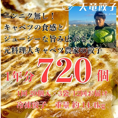 【毎月定期便】静岡発!キャベツの旨さを追及した【天竜餃子】80個入り/約1.6kg/全6回【配送不可地域：離島】