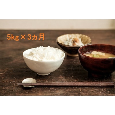 【発送月固定定期便】令和5年産ミルキークイーン(白米) 5kg 全3回