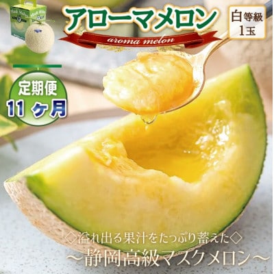 【毎月定期便】アローマメロン1玉(約1.0kg以上/玉)【静岡高級マスクメロン】全11回【配送不可地域：離島・北海道・沖縄県】