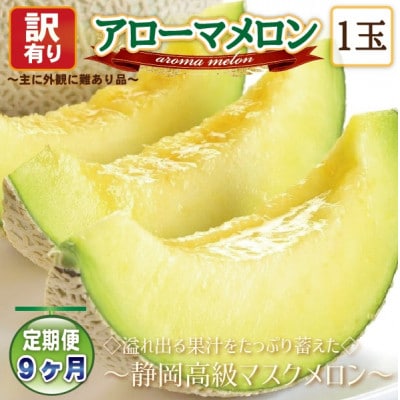 【毎月定期便】【高級メロンの訳あり品】アローマメロン1玉　全9回【配送不可地域：離島・北海道・沖縄県】