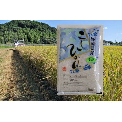 【毎月定期便】静岡こしひかり(精米)5kg×1袋全12回