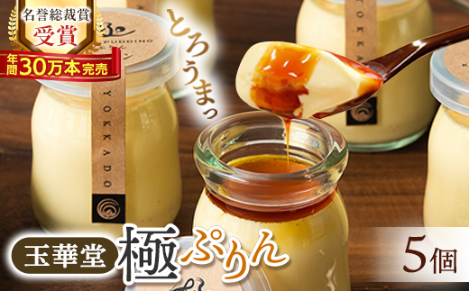 【名誉総裁賞受賞】とろける玉華堂の極ぷりん5個入【配送不可地域：離島・北海道・沖縄県・東北・中国・四国・九州】
