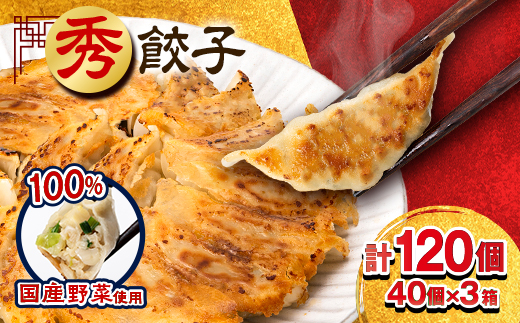 秀餃子 120個(40×3箱)2.4kg 国産野菜と肉の新鮮さにこだわった本気のぎょうざ 国産 冷凍【配送不可地域：離島】