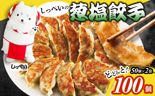 しっぺいの葱塩餃子 100個(50個×2袋)きわだつ旨み!磐田市特産品の長葱使用 国産ぎょうざ 冷凍【配送不可地域：離島】